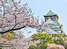 中超16队平均年龄排名：申花居首 苏宁最年轻