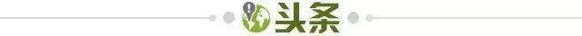 星空体育入口-【早报】欧冠32强落位！凯恩留队！姆皇+C罗大戏正酣！